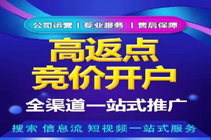 百度搜索推广案例集锦：实战技巧与策略解析